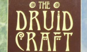 Decks de Tarot The Druid Craft Tarot