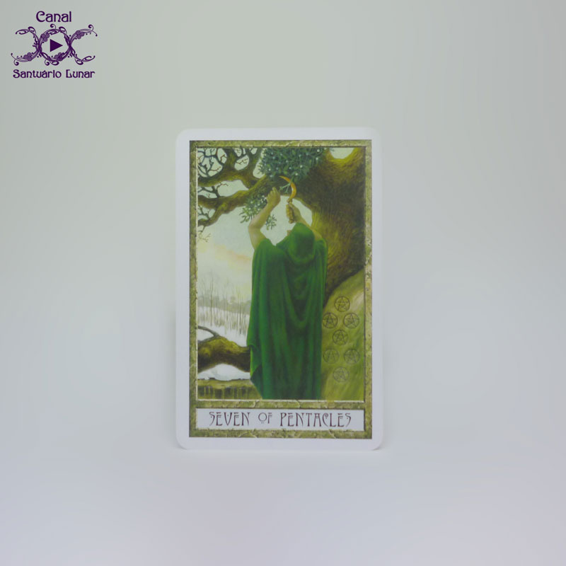 Tarot Decks - The Druid Craft Tarot - 7 of Pentacles