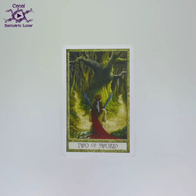 Tarot Decks - The Druid Craft Tarot - 2 of Swords