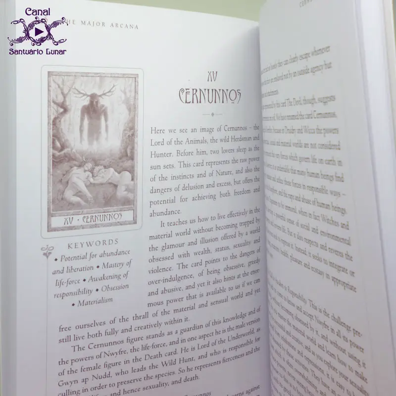 The Druid Craft Tarot - Book (interior)