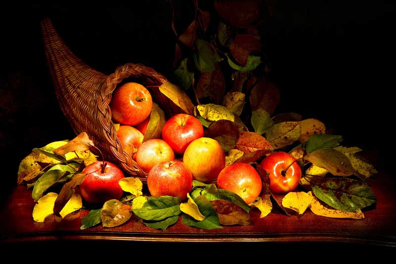 Roda do Ano - Ritual de Mabon - Cornucópia