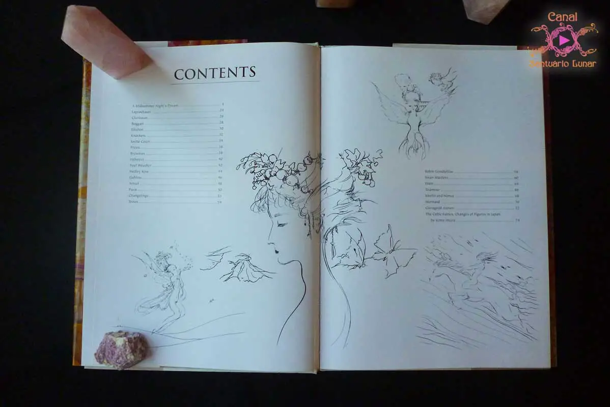 Livro de Magia - Fairies de Yoshitaka Amano - Conteúdo