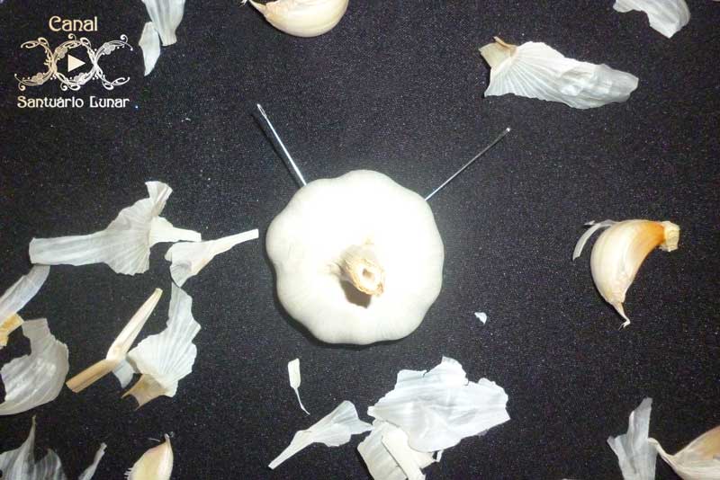 Protection Spell Against Evil Forces with Garlic - 2 Needles pierced