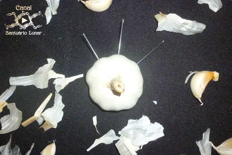 Protection Spell Against Evil Forces with Garlic - 3 Needles pierced