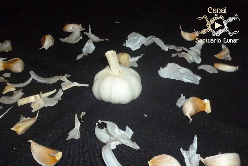 Protection Spell Against Evil Forces with Garlic - Head of Garlic