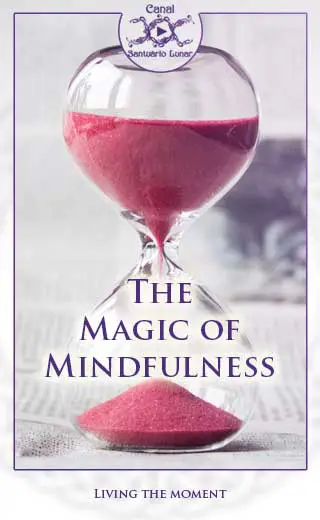 Magic of Mindfulness (Pinterest)