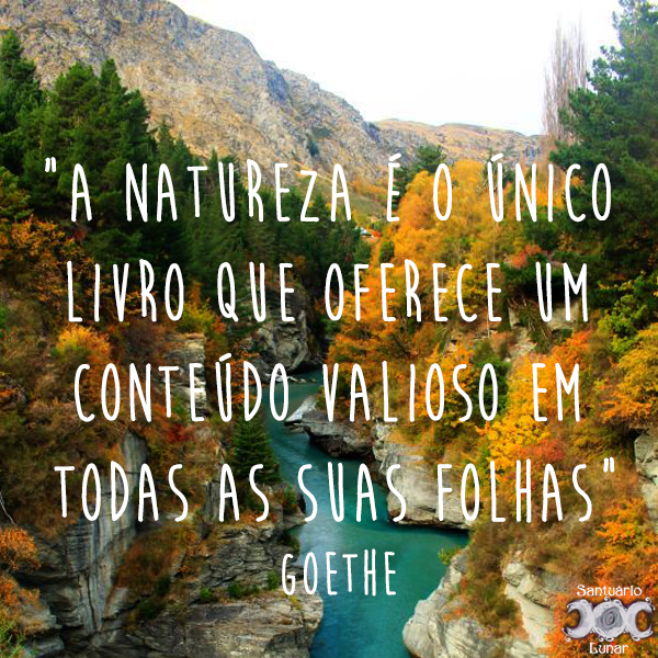 Natureza é minha igreja - 10 A natureza é o único livro que oferece um conteúdo valioso em todas as suas folhas