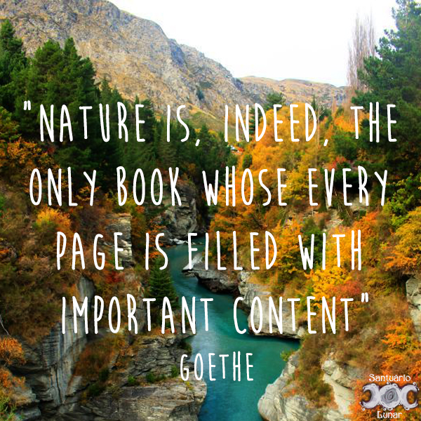 Nature is my church - 10 Nature is, indeed, the only book whose every page is filled with important content