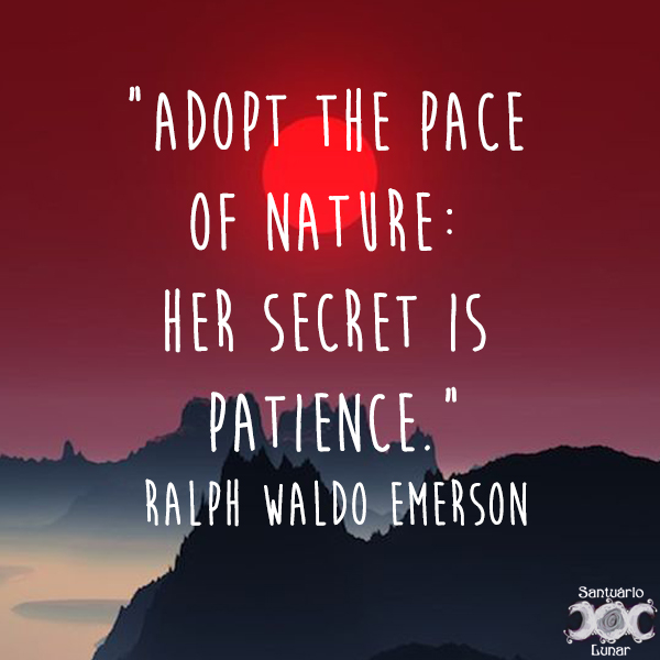 Nature is my church - 11 Adopt the pace of nature: Her secret is patience