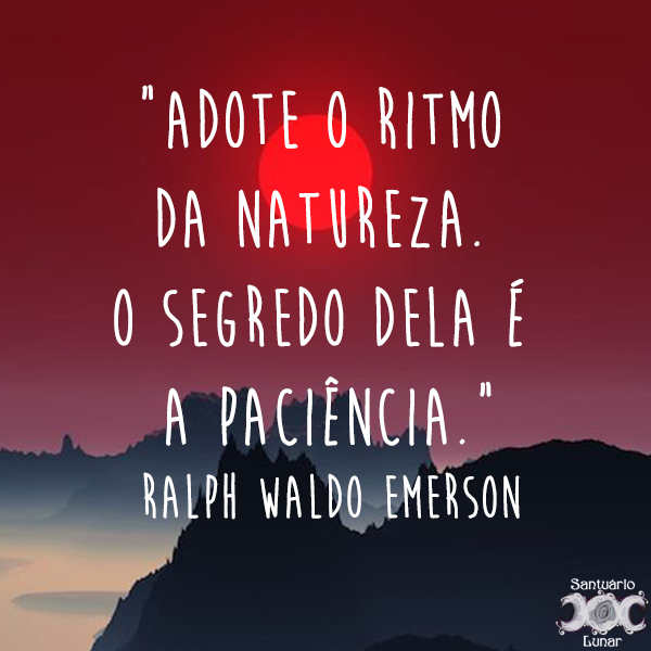 Natureza é minha igreja - 11 Adote o ritmo da natureza O segredo dela é a paciência