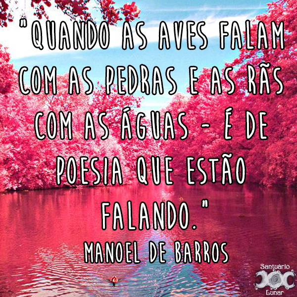 Natureza é minha igreja - 15 Quando as aves falam com as pedras e as rãs com as águas é de poesia que estão falando