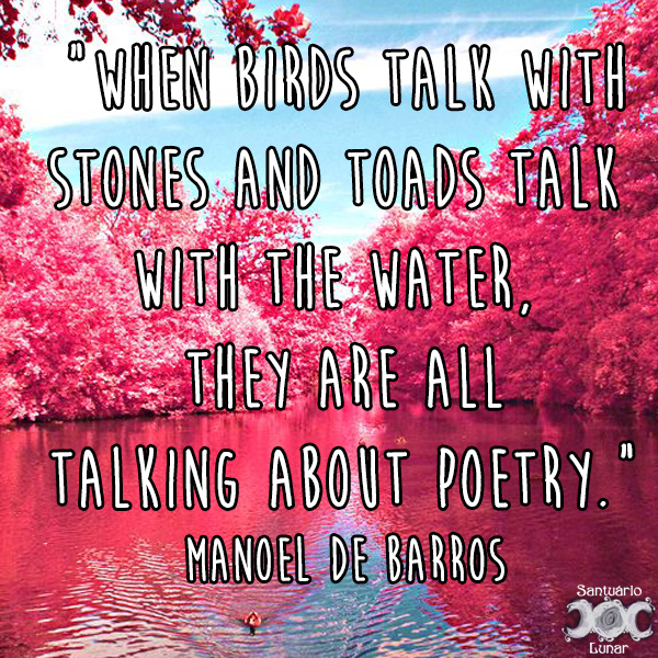 Nature is my church - 15 When birds talk with stones and toads talk with the water, they are all talking about poetry