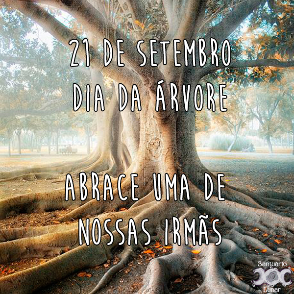 Natureza é minha igreja - 23 21 de setembro dia da árvore abrace uma de nossas irmãs