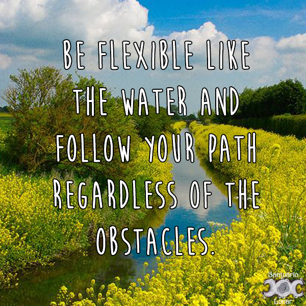 Nature is my church - 26 Be flexible like the water and follow your path regardless of the obstacles