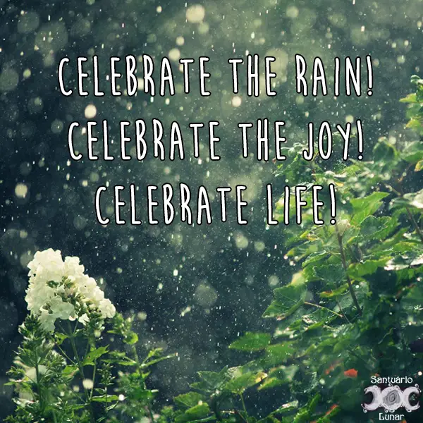 Nature is my church - 31 Celebrate the rain Celebrate the joy Celebrate life