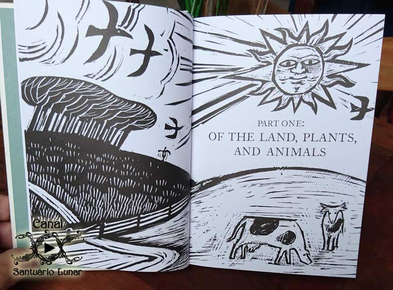 A Treasury of British Folklore: Part 1 - Of the Land, Plants and Animals