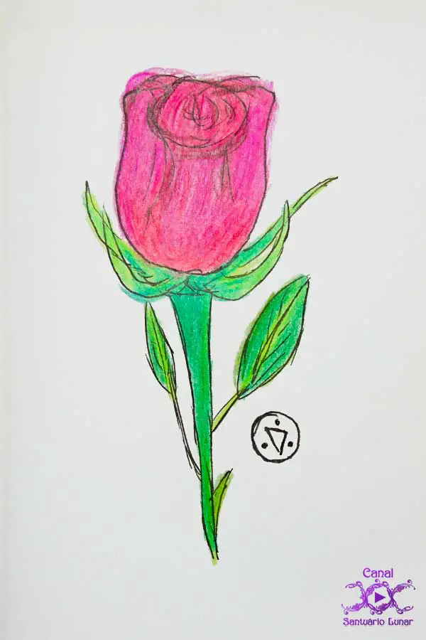 Incenso de Rosa - Rosa vermelha, desenho à mão