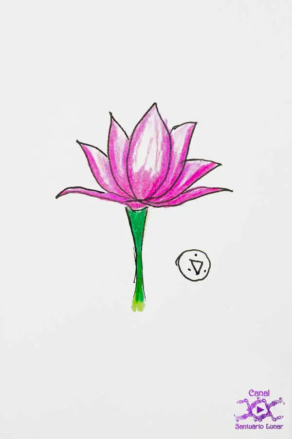 Lotus Incense - Lotus Drawing