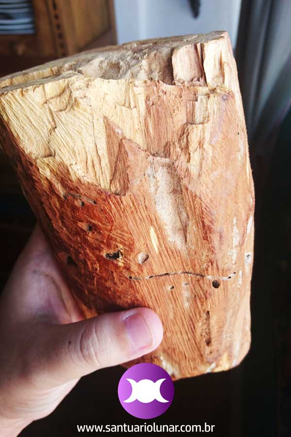 A big piece of Palo Santo