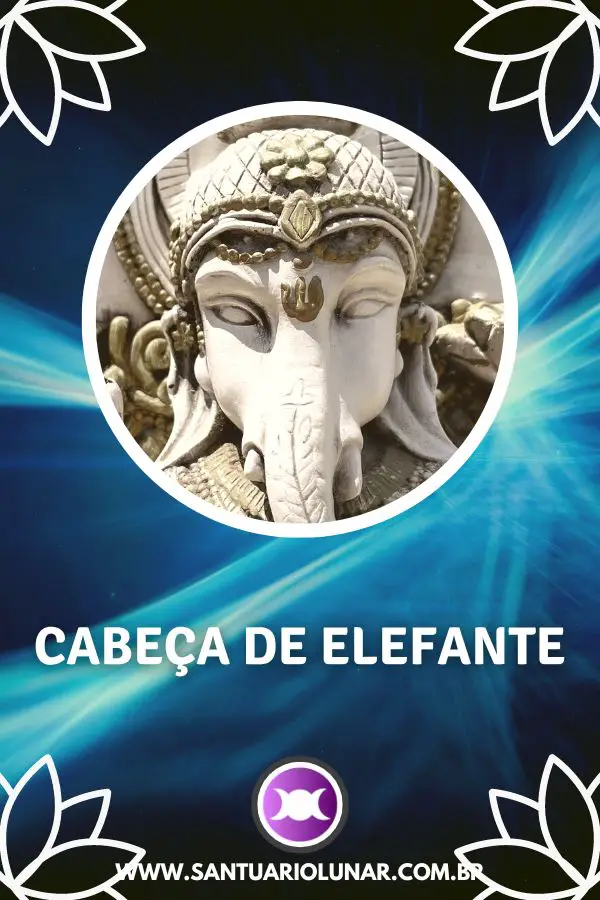 Significado de Ganesha - Símbolo 01 - Cabeça de Elefante