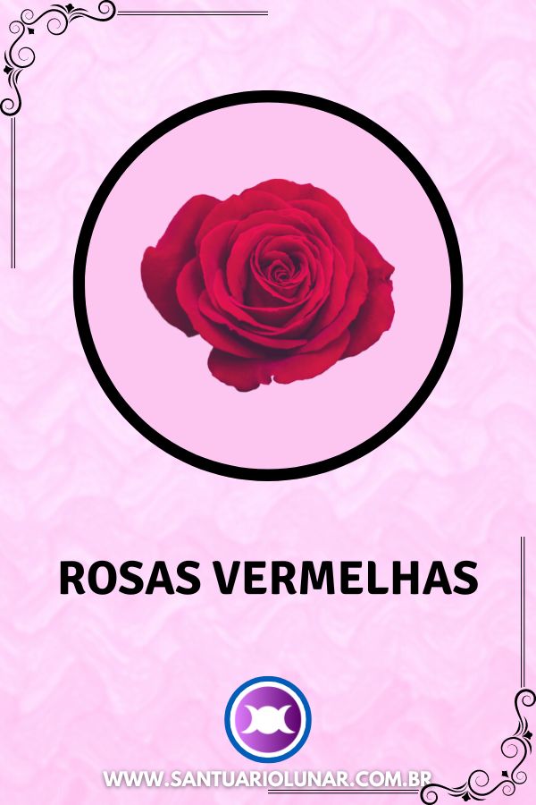 Símbolos de Afrodite - 02 Rosas vermelhas